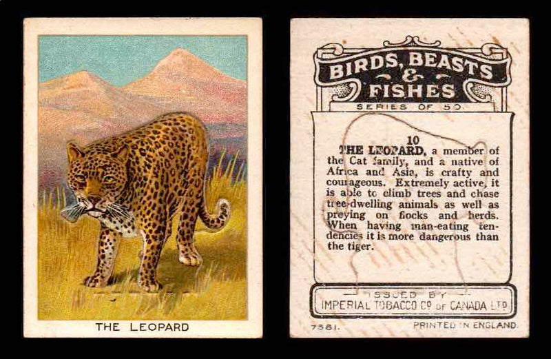 1923 Birds, Beasts, Fishes C1 Imperial Tobacco Vintage Trading Cards Singles #10 The Leopard  - TvMovieCards.com