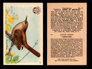 Birds - Useful Birds of America 3rd Series You Pick Singles Church & Dwight J-7 #10 House Wren  - TvMovieCards.com