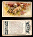 1925 Dogs 2nd Series Imperial Tobacco Vintage Trading Cards U Pick Singles #1-50 #10 Dandie Dinmonts  - TvMovieCards.com