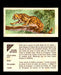 Nature Untamed Nabisco Vintage Trading Cards You Pick Singles #1-24 #10 Ocelot  - TvMovieCards.com
