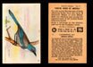 Birds - Useful Birds of America 8th Series You Pick Singles Church & Dwight J-9 #10 California Jay  - TvMovieCards.com