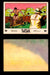 1966 Tarzan Banner Productions Vintage Trading Cards You Pick Singles #1-66 #10  - TvMovieCards.com