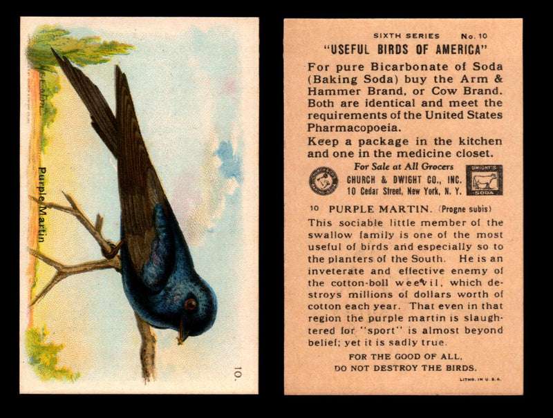 Birds - Useful Birds of America 6th Series You Pick Singles Church & Dwight J-9 #10 Purple Martin  - TvMovieCards.com