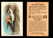 Birds - Useful Birds of America 10th Series You Pick Singles Church & Dwight J-9 #10 Brown Creeper  - TvMovieCards.com