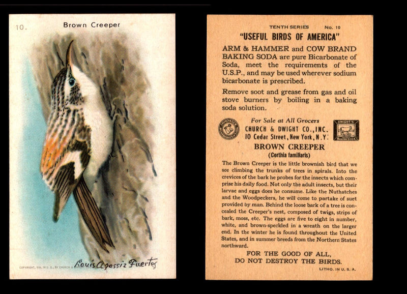 Birds - Useful Birds of America 10th Series You Pick Singles Church & Dwight J-9 #10 Brown Creeper  - TvMovieCards.com