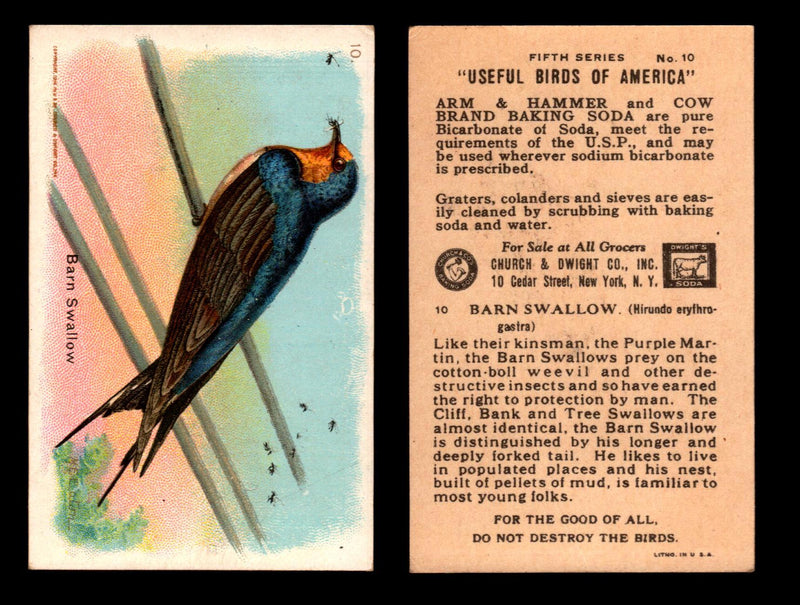 Birds - Useful Birds of America 5th Series You Pick Singles Church & Dwight J-9 #10 Barn Swallow  - TvMovieCards.com