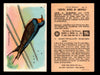 Birds - Useful Birds of America 5th Series You Pick Singles Church & Dwight J-9 #10 Barn Swallow  - TvMovieCards.com