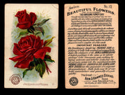 Beautiful Flowers New Series You Pick Singles Card #1-#60 Arm & Hammer 1888 J16 #10 Jacqueminot Roses  - TvMovieCards.com
