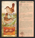 1924 Patterson's Bird Chocolate Vintage Trading Cards U Pick Singles #1-46 10 Marsh Wren  - TvMovieCards.com