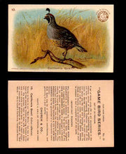 1904 Arm & Hammer Game Bird Series Vintage Trading Cards Singles #1-30 #10 California Quail  - TvMovieCards.com