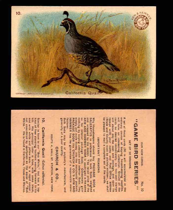 1904 Arm & Hammer Game Bird Series Vintage Trading Cards Singles #1-30 #10 California Quail  - TvMovieCards.com