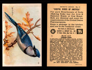 Birds - Useful Birds of America 7th Series You Pick Singles Church & Dwight J-9 #10 Blue Jay  - TvMovieCards.com