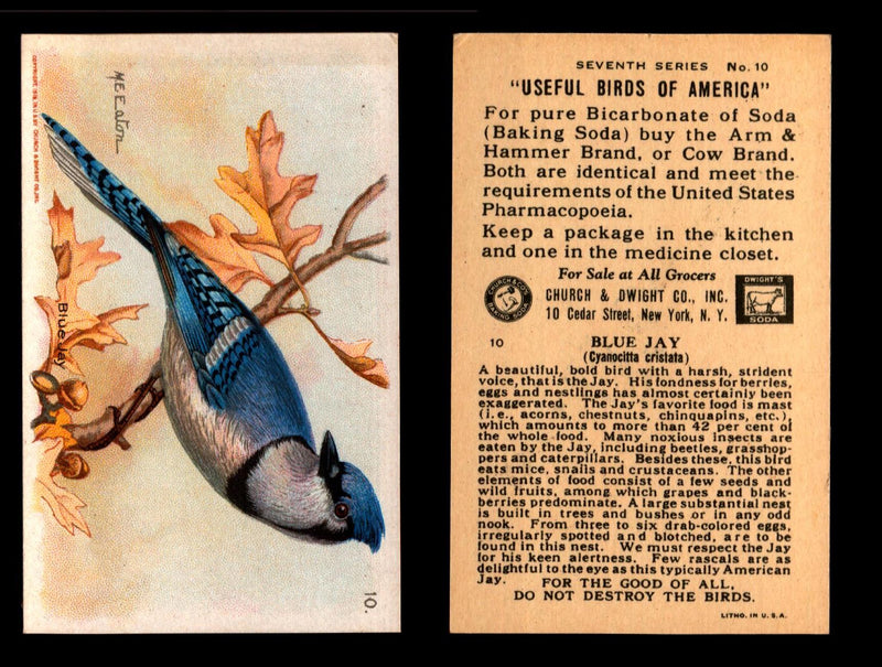 Birds - Useful Birds of America 7th Series You Pick Singles Church & Dwight J-9 #10 Blue Jay  - TvMovieCards.com