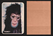 Zoo's Who Topps Animal Sticker Trading Cards You Pick Singles #1-40 1975 #10 Monkey  - TvMovieCards.com
