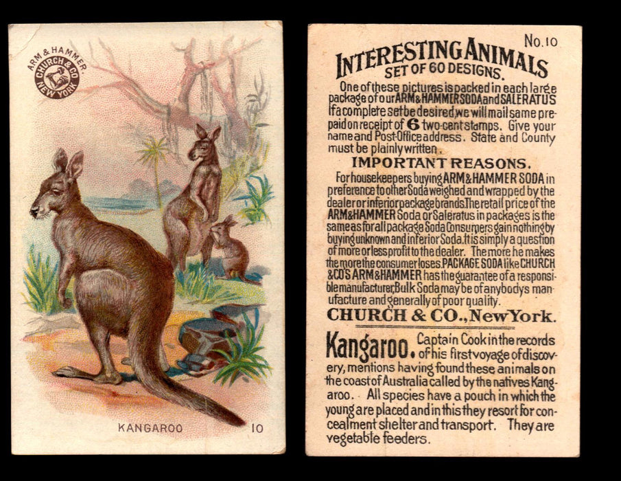 Interesting Animals You Pick Single Card #1-60 1892 J10 Church Arm & Hammer #10 Kangaroo  - TvMovieCards.com