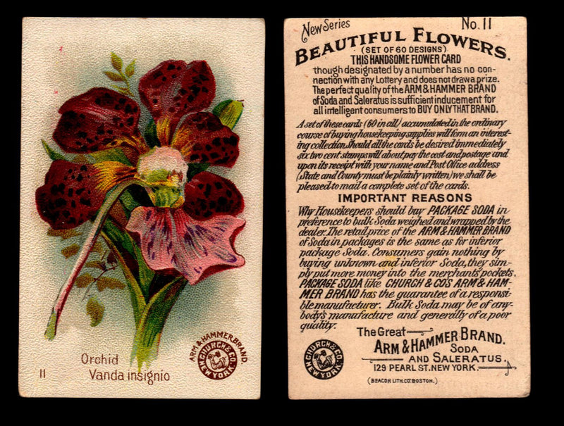 Beautiful Flowers New Series You Pick Singles Card #1-#60 Arm & Hammer 1888 J16 #11 Orchid - Vana Insignio  - TvMovieCards.com