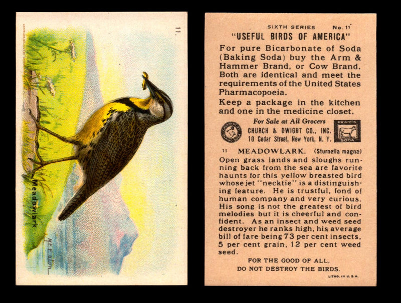 Birds - Useful Birds of America 6th Series You Pick Singles Church & Dwight J-9 #11 Meadowlark  - TvMovieCards.com