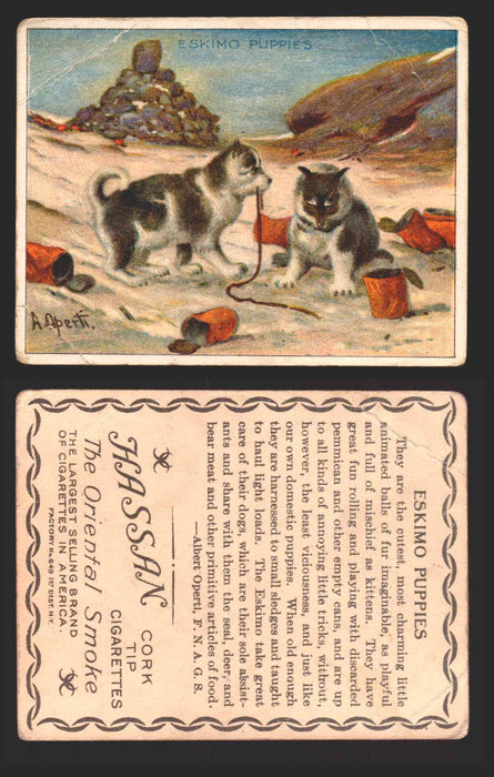 1910 T30 Hassan Tobacco Cigarettes Artic Scenes Vintage Trading Cards Singles #11 Eskimo Puppies  - TvMovieCards.com