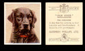 1939 Godfrey Phillips "Our Dogs" Tobacco You Pick Singles Trading Cards #1-30 #11 The Labrador  - TvMovieCards.com