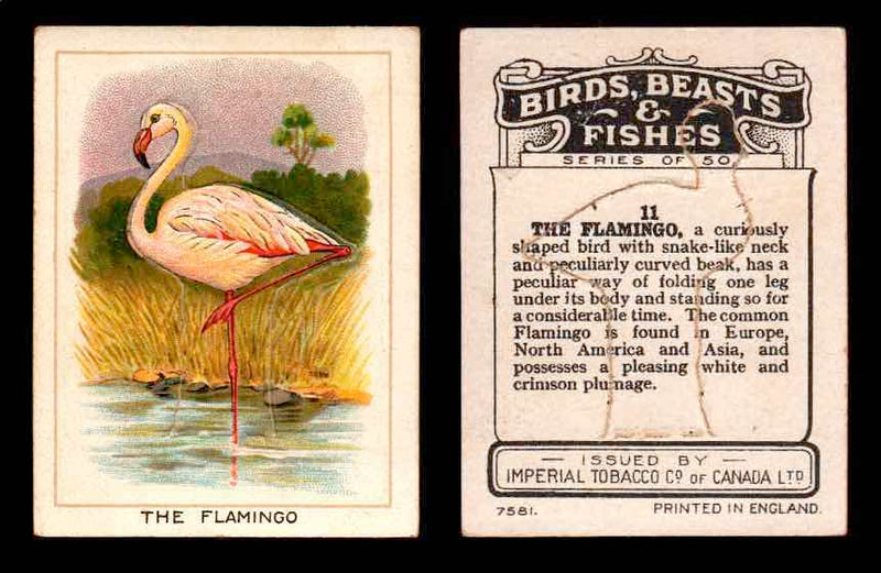 1923 Birds, Beasts, Fishes C1 Imperial Tobacco Vintage Trading Cards Singles #11 The Flamingo  - TvMovieCards.com