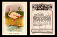 1923 Birds, Beasts, Fishes C1 Imperial Tobacco Vintage Trading Cards Singles #11 The Flamingo  - TvMovieCards.com