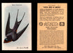 Birds - Useful Birds of America 10th Series You Pick Singles Church & Dwight J-9 #11 Barn Swallow  - TvMovieCards.com