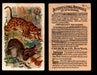 Interesting Animals You Pick Single Card #1-60 1892 J10 Church Arm & Hammer #11 Jaguar and Tapir  - TvMovieCards.com
