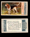 1924 Dogs Series Imperial Tobacco Vintage Trading Cards U Pick Singles #1-24 #11 Beagle  - TvMovieCards.com