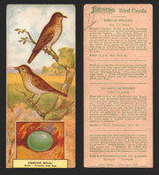 1924 Patterson's Bird Chocolate Vintage Trading Cards U Pick Singles #1-46 11 Thrush (Wilson)  - TvMovieCards.com