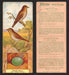 1924 Patterson's Bird Chocolate Vintage Trading Cards U Pick Singles #1-46 11 Thrush (Wilson)  - TvMovieCards.com