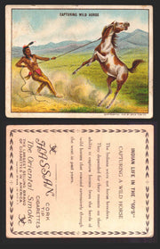 1910 T73 Hassan Cigarettes Indian Life In The 60's Tobacco Trading Cards Singles #11 Capturing Wild Horses  - TvMovieCards.com