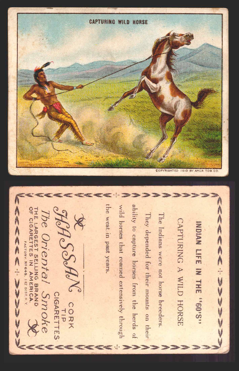 1910 T73 Hassan Cigarettes Indian Life In The 60's Tobacco Trading Cards Singles #11 Capturing Wild Horses  - TvMovieCards.com