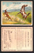 1910 T73 Hassan Cigarettes Indian Life In The 60's Tobacco Trading Cards Singles #11 Capturing Wild Horses  - TvMovieCards.com