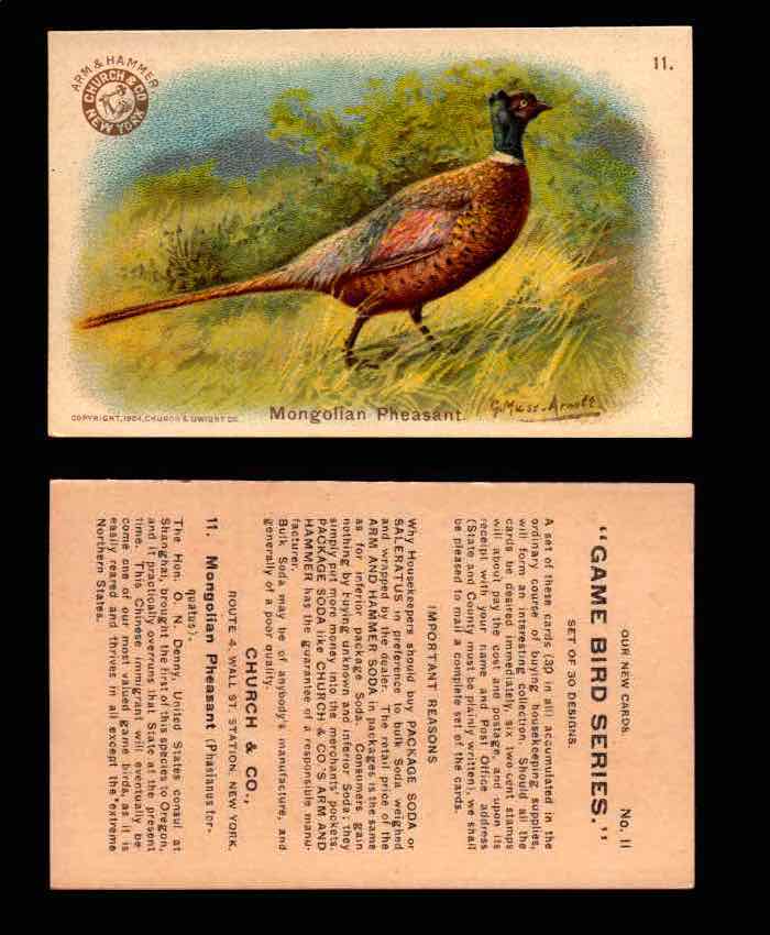 1904 Arm & Hammer Game Bird Series Vintage Trading Cards Singles #1-30 #11 Mongolian Pheasant  - TvMovieCards.com