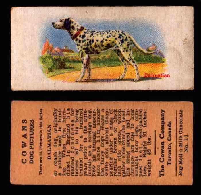 1929 V13 Cowans Dog Pictures Vintage Trading Cards You Pick Singles #1-24 #11 Dalmatian  - TvMovieCards.com