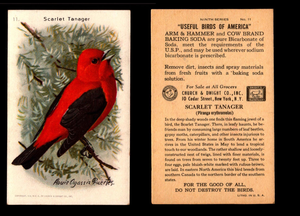 Birds - Useful Birds of America 9th Series You Pick Singles Church & Dwight J-9 #11 Scarlet Tanager  - TvMovieCards.com