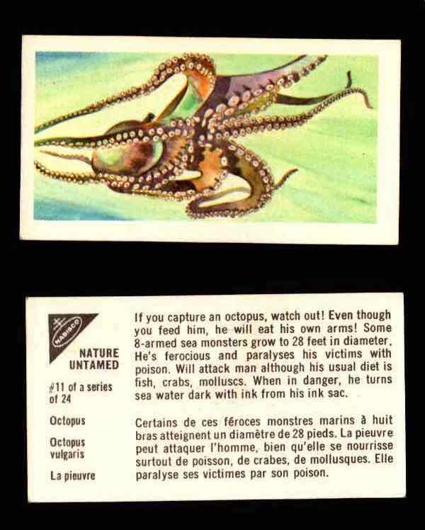Nature Untamed Nabisco Vintage Trading Cards You Pick Singles #1-24 #11 Octopus  - TvMovieCards.com