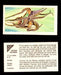 Nature Untamed Nabisco Vintage Trading Cards You Pick Singles #1-24 #11 Octopus  - TvMovieCards.com