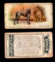 1925 Dogs 2nd Series Imperial Tobacco Vintage Trading Cards U Pick Singles #1-50 #11 Great Danes  - TvMovieCards.com