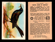 Birds - Useful Birds of America 5th Series You Pick Singles Church & Dwight J-9 #11 Purple Grackle  - TvMovieCards.com