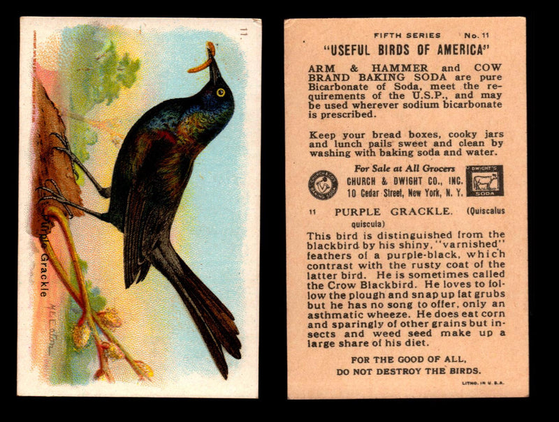 Birds - Useful Birds of America 5th Series You Pick Singles Church & Dwight J-9 #11 Purple Grackle  - TvMovieCards.com