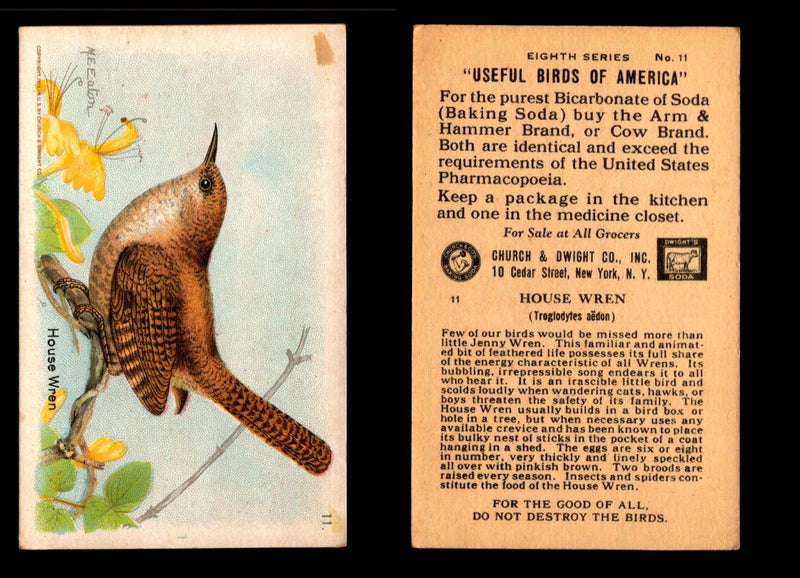 Birds - Useful Birds of America 8th Series You Pick Singles Church & Dwight J-9 #11 House Wren  - TvMovieCards.com