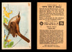 Birds - Useful Birds of America 8th Series You Pick Singles Church & Dwight J-9 #11 House Wren  - TvMovieCards.com