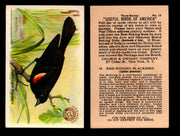 Birds - Useful Birds of America 3rd Series You Pick Singles Church & Dwight J-7 #12 Red-winged Black-bird  - TvMovieCards.com
