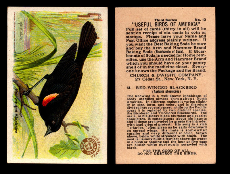 Birds - Useful Birds of America 3rd Series You Pick Singles Church & Dwight J-7 #12 Red-winged Black-bird  - TvMovieCards.com