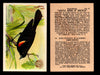 Birds - Useful Birds of America 3rd Series You Pick Singles Church & Dwight J-7 #12 Red-winged Black-bird  - TvMovieCards.com