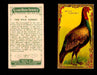 1910 Game Bird Series C14 Imperial Tobacco Vintage Trading Cards Singles #1-30 #12 The Wild Turkey  - TvMovieCards.com