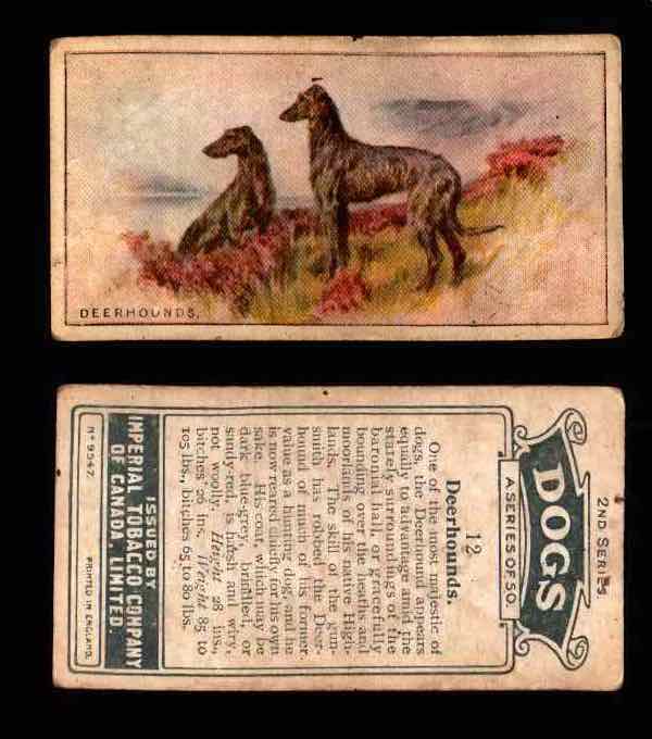 1925 Dogs 2nd Series Imperial Tobacco Vintage Trading Cards U Pick Singles #1-50 #12 Deerhounds  - TvMovieCards.com