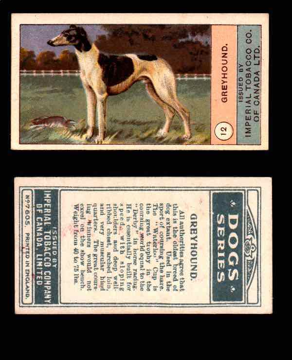 1924 Dogs Series Imperial Tobacco Vintage Trading Cards U Pick Singles #1-24 #12 Greyhound  - TvMovieCards.com