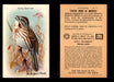 Birds - Useful Birds of America 9th Series You Pick Singles Church & Dwight J-9 #12 Song Sparrow  - TvMovieCards.com